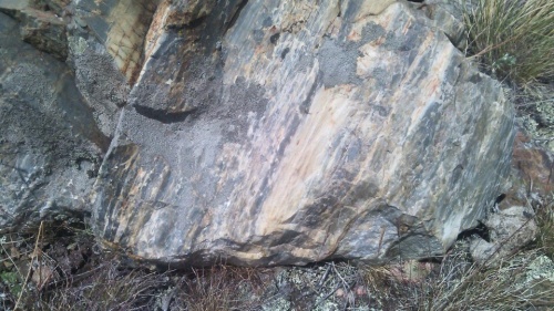 Гигантские зелёные валуны для ландшафтного дизайна весом более 5 тонн купить в Снежинске