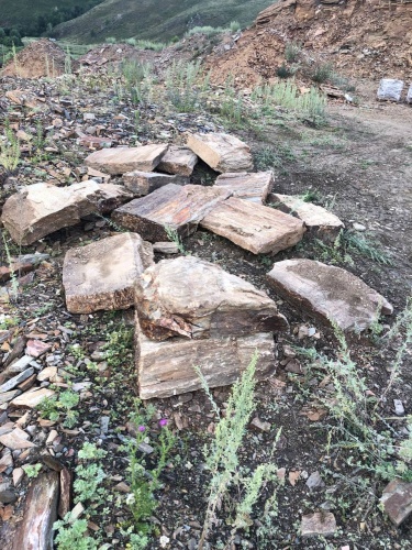 Плитняк кора дерева 50-100мм для пошаговых дорожек купить в Снежинске